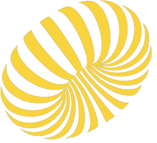 Shape